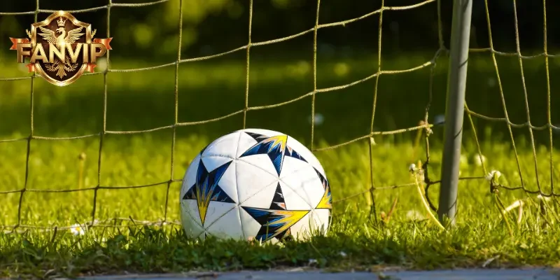 Kèo 3/4 là gì? - Các chuyên gia đưa ra những bí kíp nào 1 Tìm hiểu rõ kèo 3/4 là gì