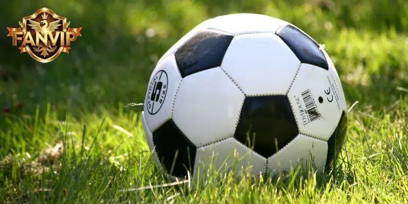 Kèo lựa là gì? Cách chọn kèo chuẩn xác trong cá cược bóng đá 2 Kèo lựa là gì? – Hướng dẫn chọn kèo lựa trong bóng đá chính xác